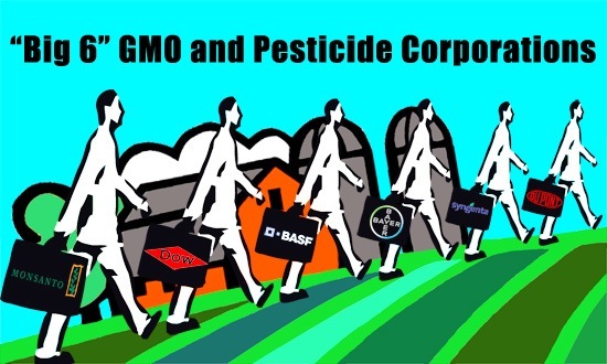 Big 6 GMO and Pesticide Corporations