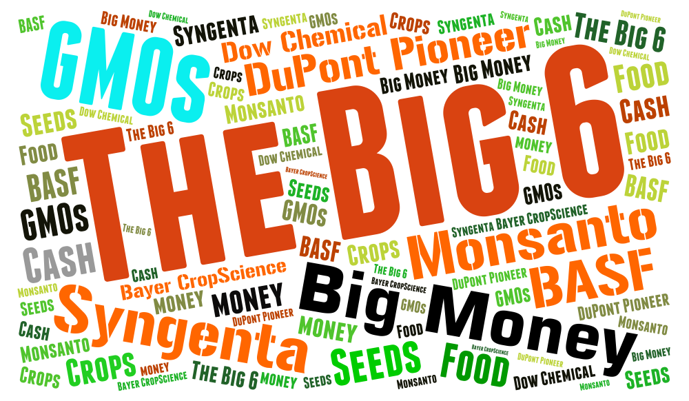 "Big 6" pesticide and GMO companies