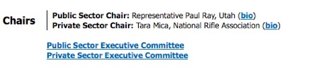 Tara Mica, National Rifle Association, Private Sector Chair