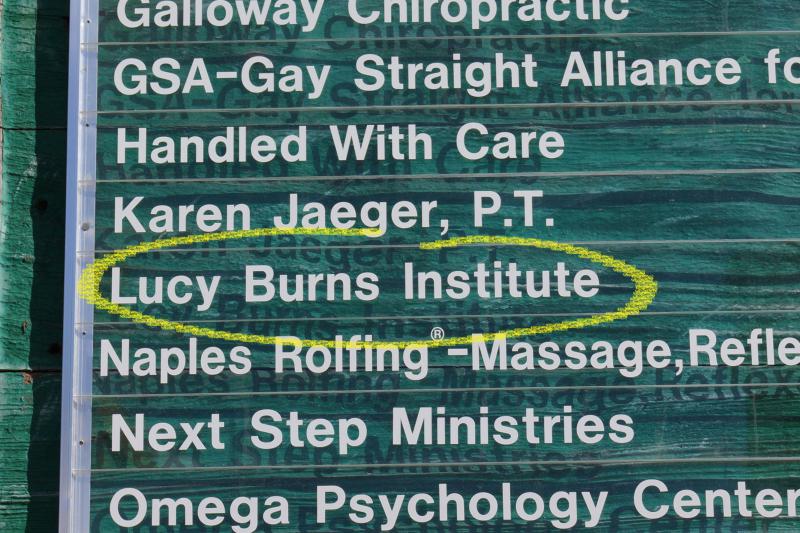 Lucy Burns Institute highlighted