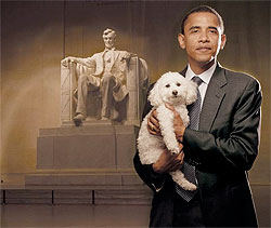 Obama puppy