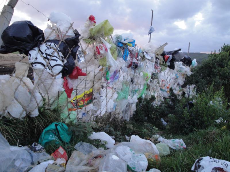 Plastic bag waste