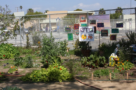 Westminster Avenue Elementary School's garden, with an open bag of Kellogg's Amend